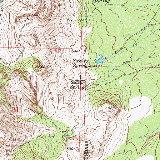 Topographic Map of Sedillo Spring, NM