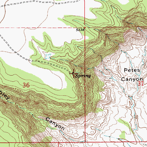 Topographic Map of Louisiana Spring, NM