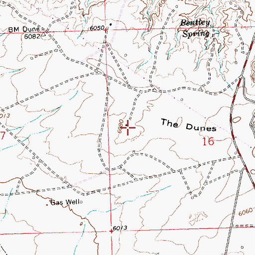 Topographic Map of The Dunes, NM