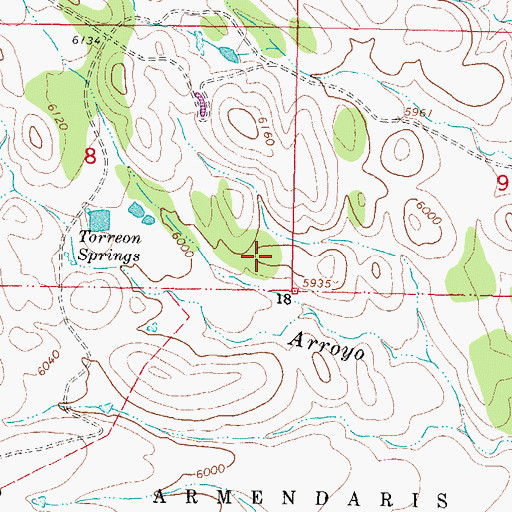 Topographic Map of Torreon Spring, NM