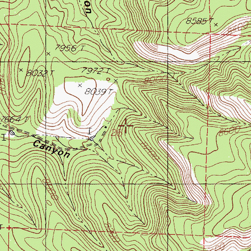 Topographic Map of Rock Springs, NM