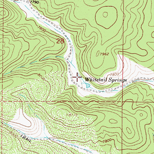 Topographic Map of Whitetail Spring, NM