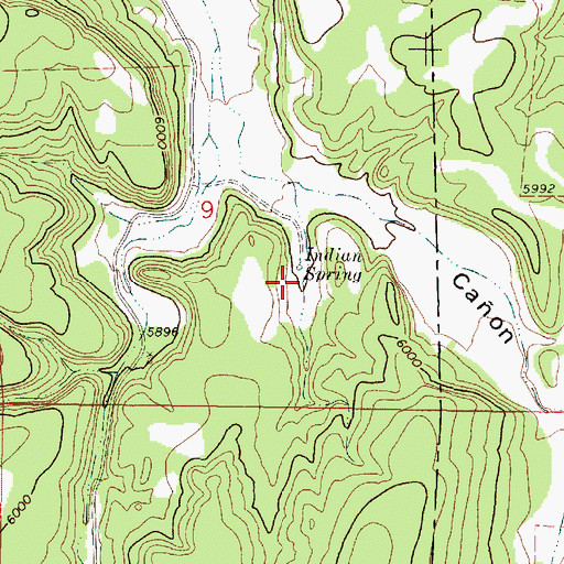 Topographic Map of Vega Spring, NM