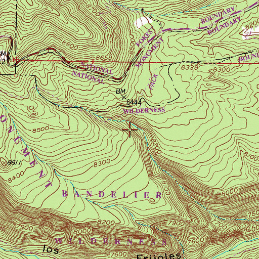 Topographic Map of Sawyer Spring, NM