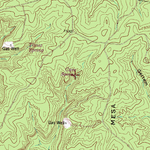 Topographic Map of Cave Spring, NM