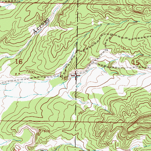 Topographic Map of La Jara Ranch Spring, NM