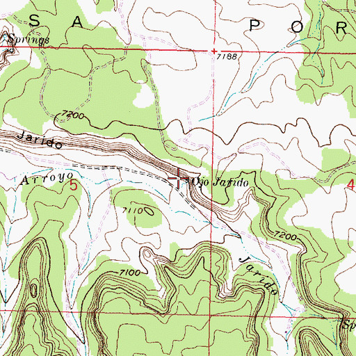 Topographic Map of Ojo Jarido, NM