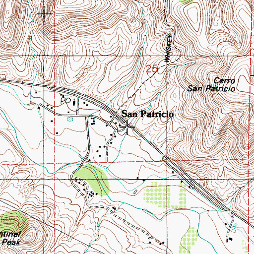 Topographic Map of Peter Hurd Spring, NM