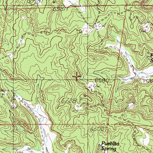 Topographic Map of Jackson Spring, NM