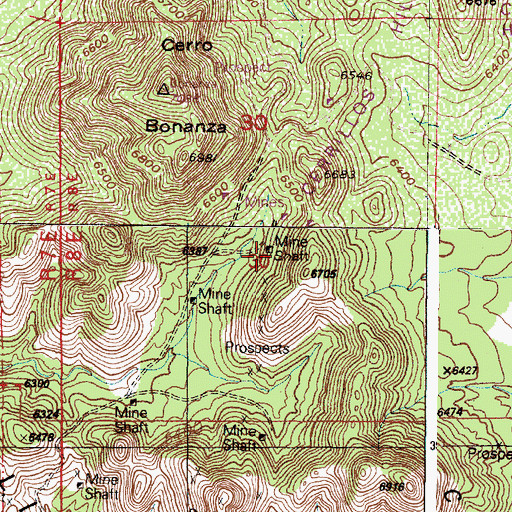 Topographic Map of Tom Payne Mine, NM
