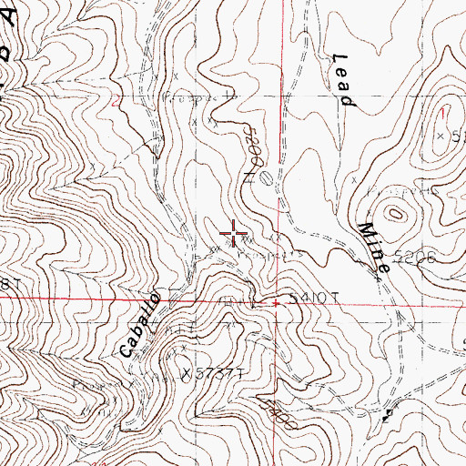 Topographic Map of Napoleon - Rosa Lee, NM