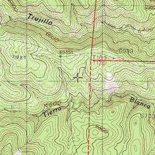 Topographic Map of Standard Metal Mine, NM