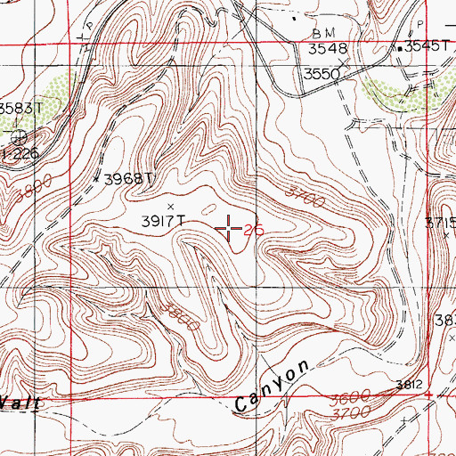 Topographic Map of Lepee Claims, NM