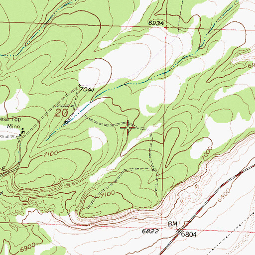 Topographic Map of Flea Mine, NM