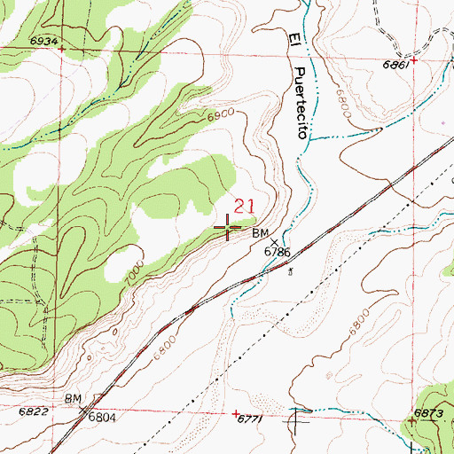 Topographic Map of Flea Doris Extension, NM