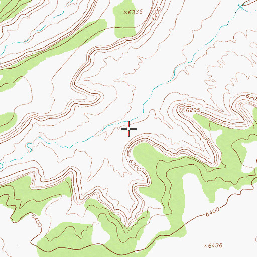 Topographic Map of Carona de Gigante, NM