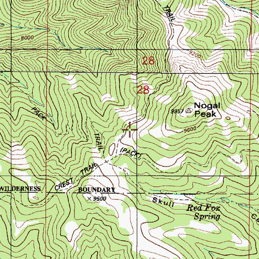 Topographic Map of T Claim, NM