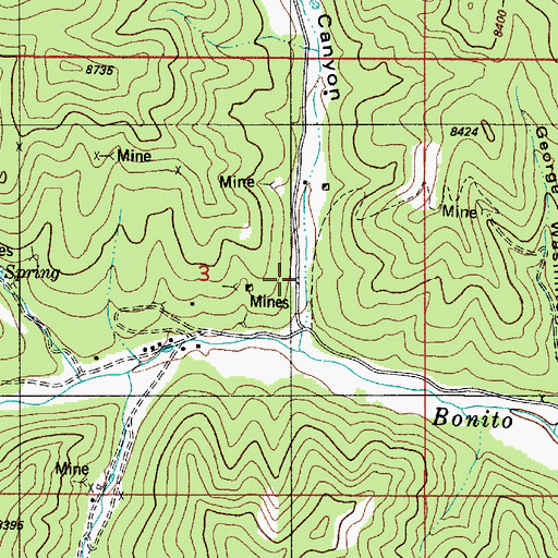 Topographic Map of White Swan, NM