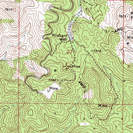 Topographic Map of Spring Mine, NM