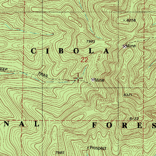 Topographic Map of Little Marie, NM