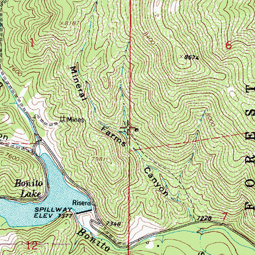 Topographic Map of Mineral Farm Prospect, NM