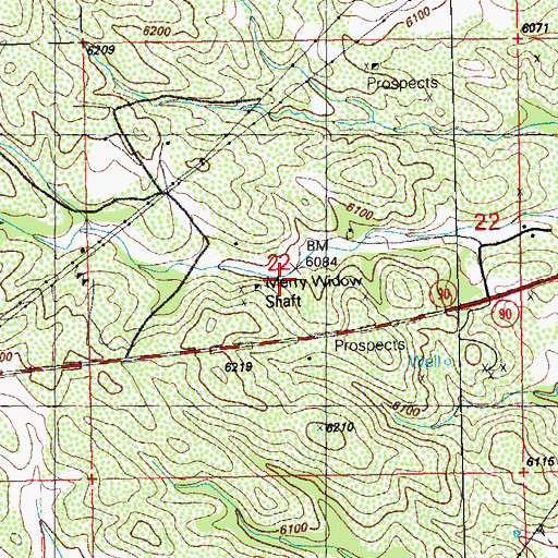 Topographic Map of Merry Widow Mine, NM
