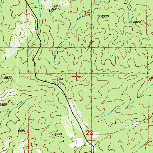 Topographic Map of Osmer Gold Mine, NM