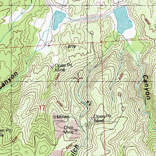 Topographic Map of California Gulch Prospect, NM