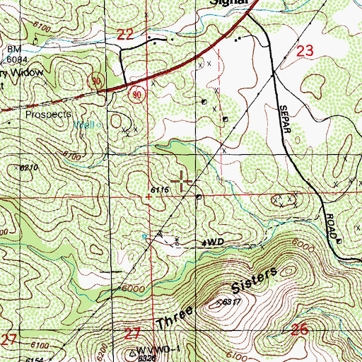 Topographic Map of Red Bird Mine, NM