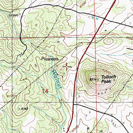 Topographic Map of Brachman Prospect, NM