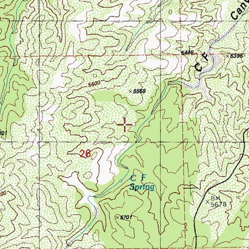 Topographic Map of Evening Star Claim, NM