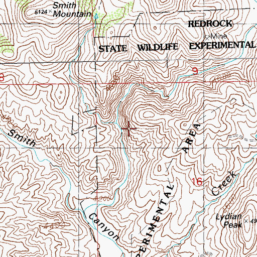 Topographic Map of Blue Eagle Prospect, NM