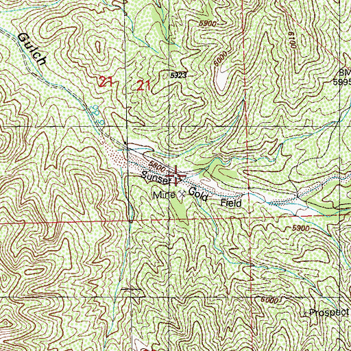 Topographic Map of Gold Gulch Placer, NM