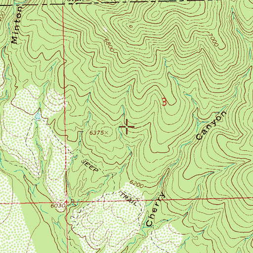 Topographic Map of Prospect Hightower, Junior, NM