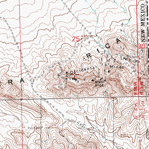 Topographic Map of Occidental Mine, NM