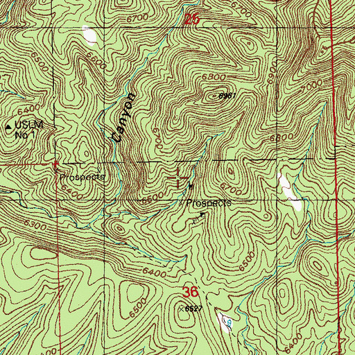 Topographic Map of Savage Prospect, NM