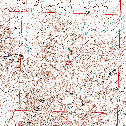Topographic Map of Wildcat, NM