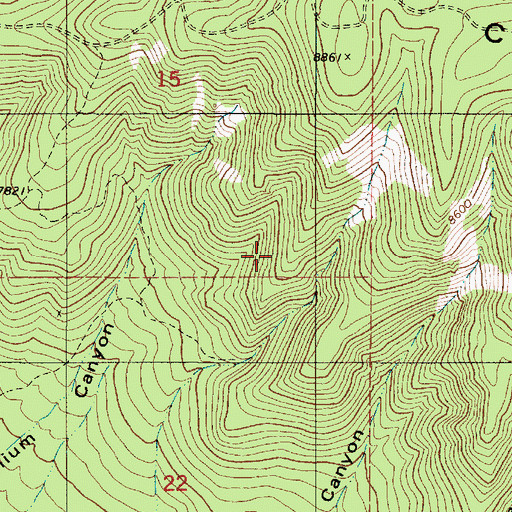 Topographic Map of King Prospect, NM
