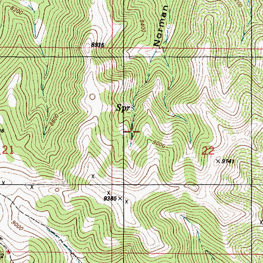 Topographic Map of Last Chance Claim Number 1, NM