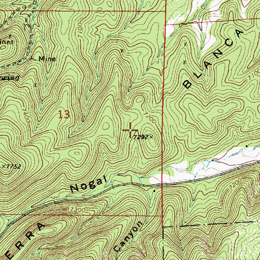 Topographic Map of Leona, NM