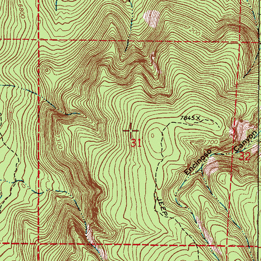 Topographic Map of McCrory Prospect Sec 31, NM