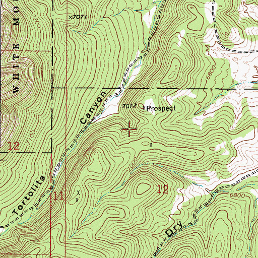 Topographic Map of Michigan, NM