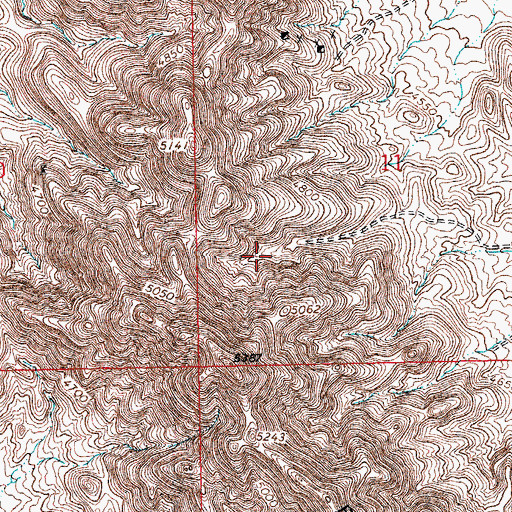 Topographic Map of New Year Prospect, NM