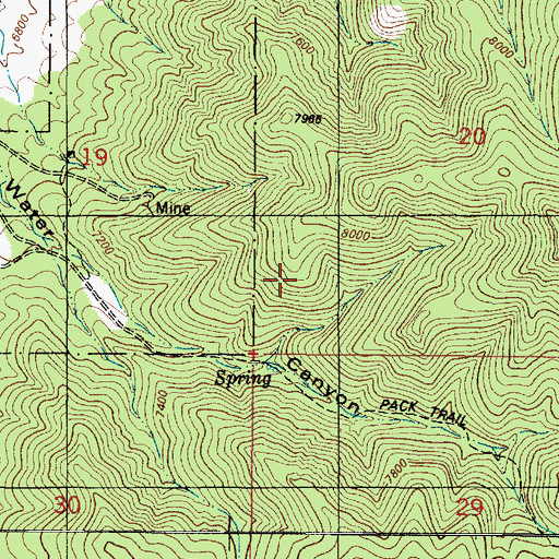Topographic Map of New Mexico Copper Corp Claims, NM