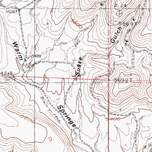 Topographic Map of Rattlesnake Placers, NM