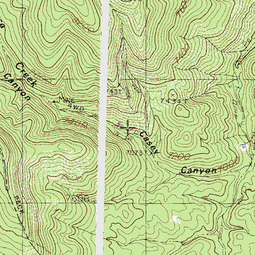 Topographic Map of Beardog Mine, NM
