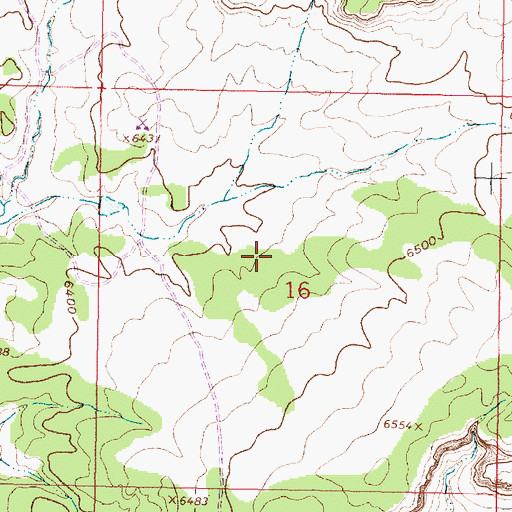 Topographic Map of Arroyo Mines, NM