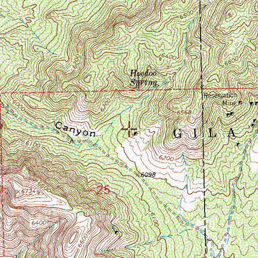 Topographic Map of Wing Feather Lady, NM