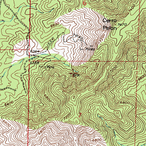 Topographic Map of Cerro Pelon, NM