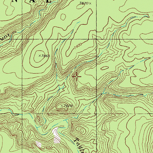 Topographic Map of Inman Tin Prospect, NM
